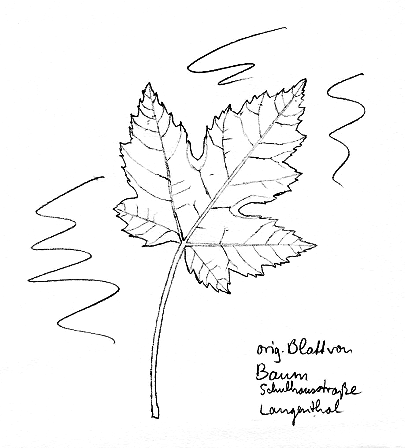 Ahorn: Silberahorn, Blatt