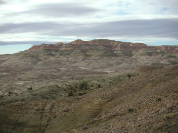 Versteinerte Baumst�mme Argentinien 01, Wald
                      im Berg