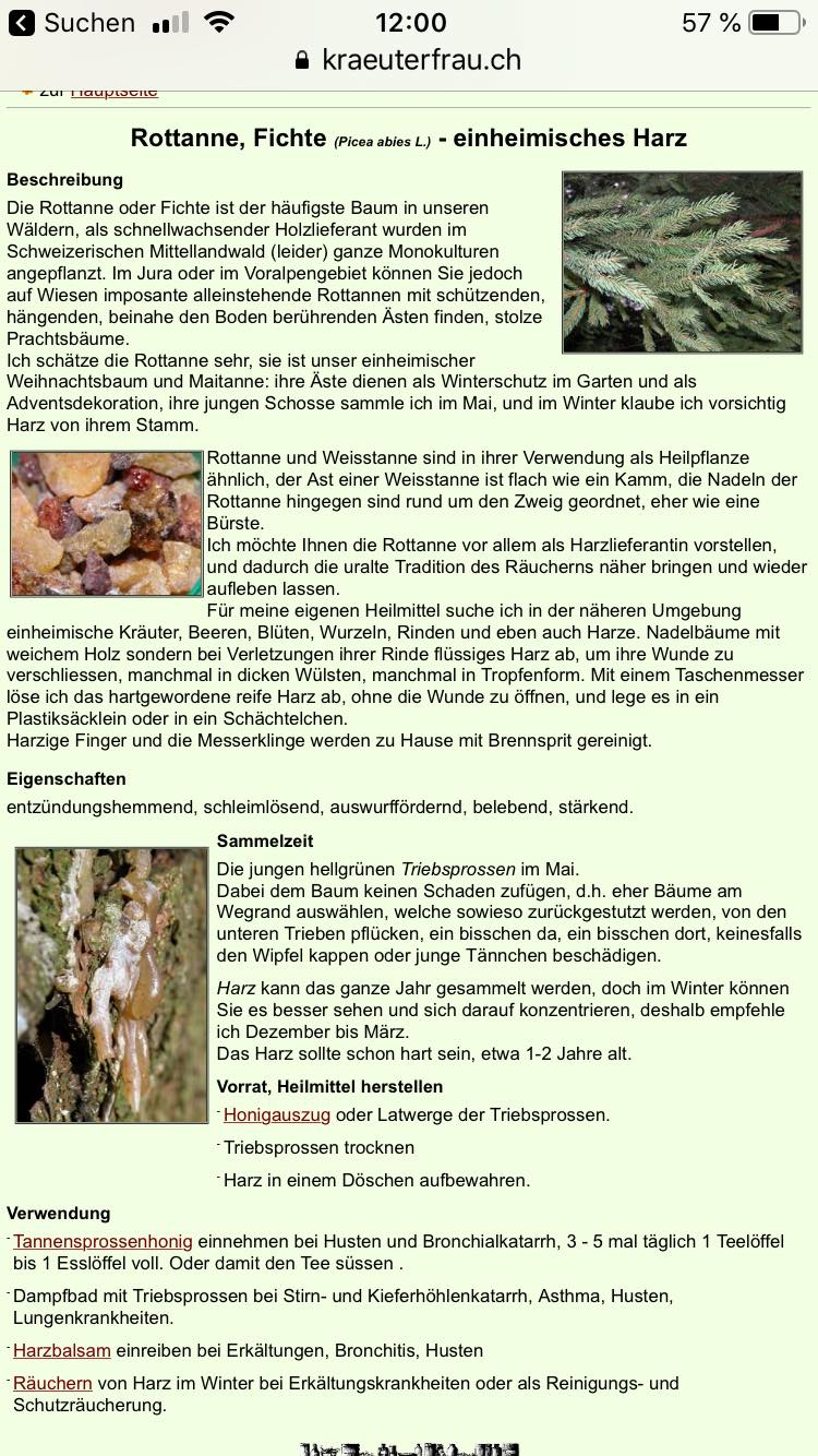 19.1.2023: Merkblatt: Heilwirkung Rottanne und
Weisstanne (Fichte): Tannensprossenhonig, Harzbalsam,
Räuchern von Harz 19.1.2023: Merkblatt:
Heilwirkung Rottanne und Weisstanne (Fichte):
Tannensprossenhonig, Harzbalsam, Räuchern von Harz