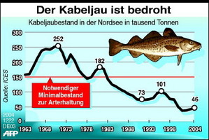 Grafik:
                    Der Kabeljau ist bedroht und seit 1983 unter dem
                    Bestand, der f�r die Arterhaltung notwendig w�re