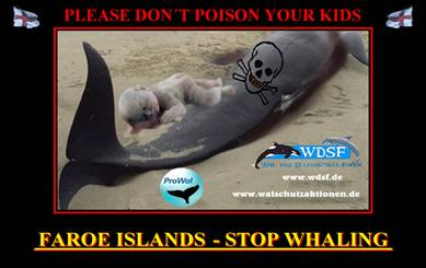 Wal mit Baby und Totenkopf