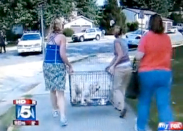 El
                        caso de Carter Patrick Ridge Delaney (04), el
                        Cocker Spaniel no es matado [80]