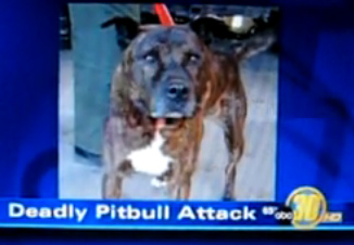 El caso de
              Colten Smith (19 meses) de Delhi en California, el Pitbull
              asesino