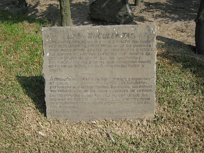 Die grosse Tafel am Kakteengarten von
                  Lima-Huachipa beschreibt, wie die Kakteen im Innern
                  Fl�ssigkeit in Form von Gel speichern