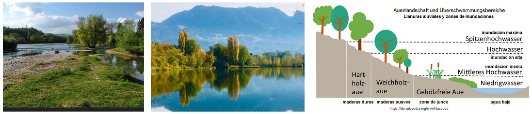 RESTAURACI�N DE LOS PAISAJES DE LAS LLANURAS
                      ALUVIALES - como era en el pasado