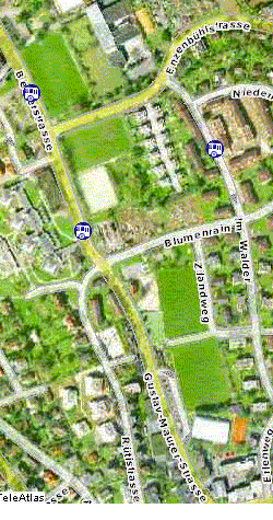 Zollikon bei Z�rich: Aus dem
                    Ried wurden 5 Fussballpl�tze