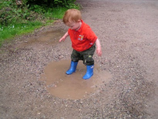 Waldweg mit Pf�tze; bei
                      Sonnenschein trinken die Insekten und
                      Schmetterlinge an der Pf�tze und saugen an der
                      Erde