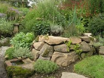 dry stone wall in a wild garden is VERY GOOD