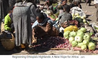 Markt im �thiopischen
                      Hochland,z.B. mit Zwiebeln und Kohl