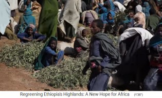 Markt im �thiopischen Hochland mit
                    Teebl�ttern