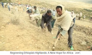 Provinz Tigray, die
                      Bev�lkerung hackt Bauml�cher 01