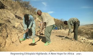 Provinz Tigray: Die Terrassen
                    werden neu hergestellt 02