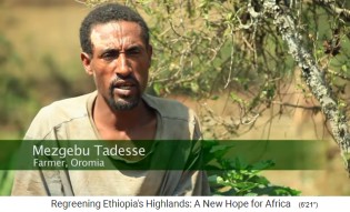 Die Provinz Oromia in
                    �thiopien, Bauer Mezgebu Tadesse