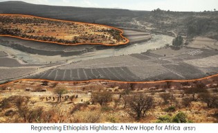 Hochland von �thiopien,
                      Beispiel einer Landschaft Sektor 2: Vom Regen
                      beregnetes Getreideland