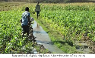 Bew�sserte Felder beim Fluss mit
                    ganzj�hriger Bew�sserung