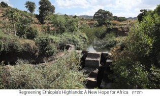 In den hohen Bergh�ngen
                    wurden auch Weiher angelegt, um das Grundwasser
                    aufzuf�llen, hier mit einem Treppenzugang
