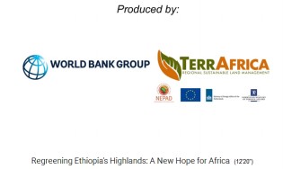 Die
                              Filmproduzenten 01