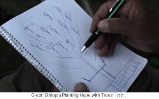 Plan: Der Wald
                      hat eine Schwammwirkung, speichert das Regenwasser
                      und provoziert eine Quelle mit einem Wasserlauf