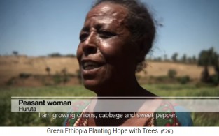 Eine B�uerin erz�hlt von
                        Zwiebeln, K�rbis und Pepperoni