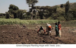 Kinder spielen "Bew�sserung"