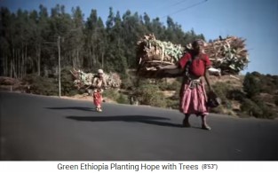 Frauen
                                  schleppen Brennholz ca. 30kg auf dem
                                  R�cken 02