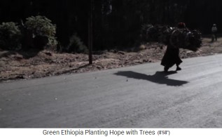 Frauen schleppen Brennholz
                        ca. 30kg auf dem R�cken 03