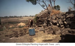 Die
                    Frau trocknet Eselmistfladen