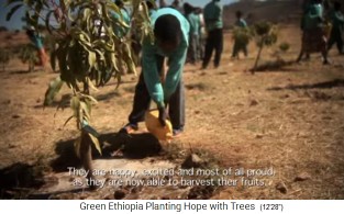 Ein
                        Sch�ler giesst seinen Baum