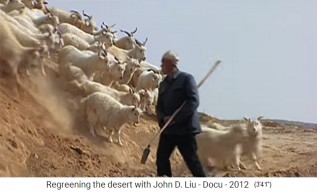 China L�ssplateau,
                        eine Ziegenherde frisst einen Berg kahl