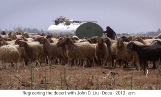 Jordanien, eine
                      Schafherde bekommt Wasser aus einem Wassertank