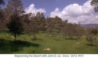 Jordanien, die Vegetation regeneriert an den
                      gesch�tzten Orten innerhalb von 3 Jahren