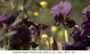 Jordanien, ausgestorbene Pflanzen
                    kommen wieder