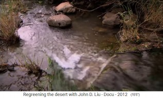 �thiopien: Ein
                      bewaldeter Berg provoziert einen fliessenden Bach