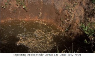 �thiopien, Dorf Abraha Atsebaha,
                      Brunnen f�llen sich