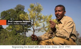 �thiopien, Prof.
                    Legesse Negash von der Universit�t Addis Abeba