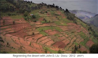 Ruanda, Ackerbau am Hang mit Erosion