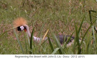 Ruanda, die Rugezi Wetlands 03