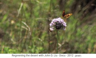 Ruanda, es
                      kommt die Artenvielfalt zur�ck mit Blumen und
                      Schmetterlingen