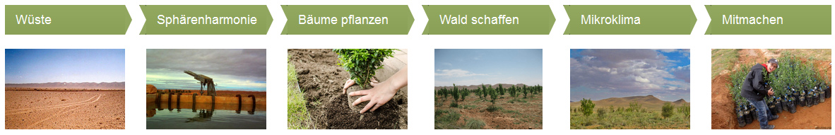 Webseite W�stenbegr�nung
                  (Desert Greening), die Stadien
                  (https://desert-greening.com)