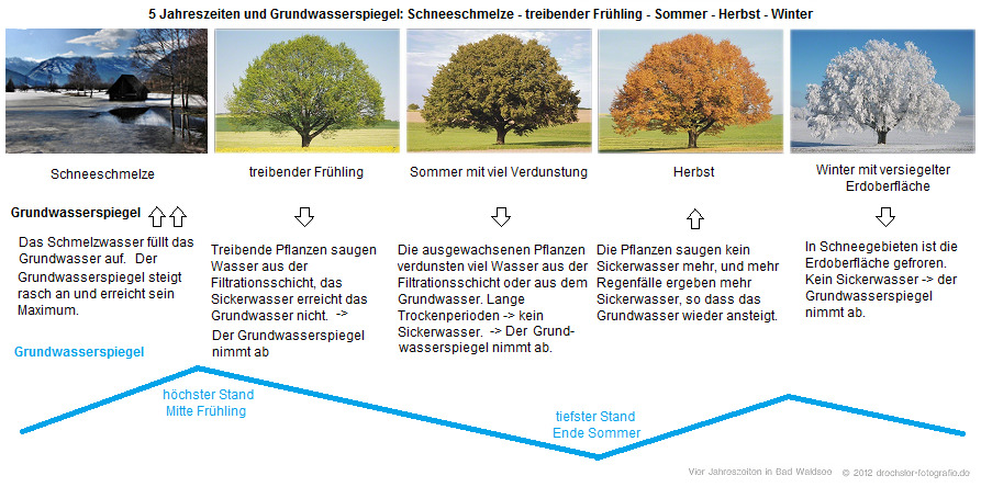 5 Jahreszeiten und
                          der Schwankung des Grundwasserspiegels