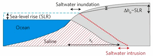 Schema eindringendes Salzwasser durch
                            erh�hten Meeresspiegel 01
