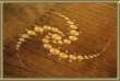 Kornkreis: planetarisches Wirbelmandala -- crop
                    circle: plamentary swirl mandala