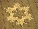 Kornkreis: planetarisches Sternmandala -- crop
                    circle: planetary star mandala