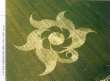 Kornkreis: Blumenmandala -- crop circle:
                        flower mandala