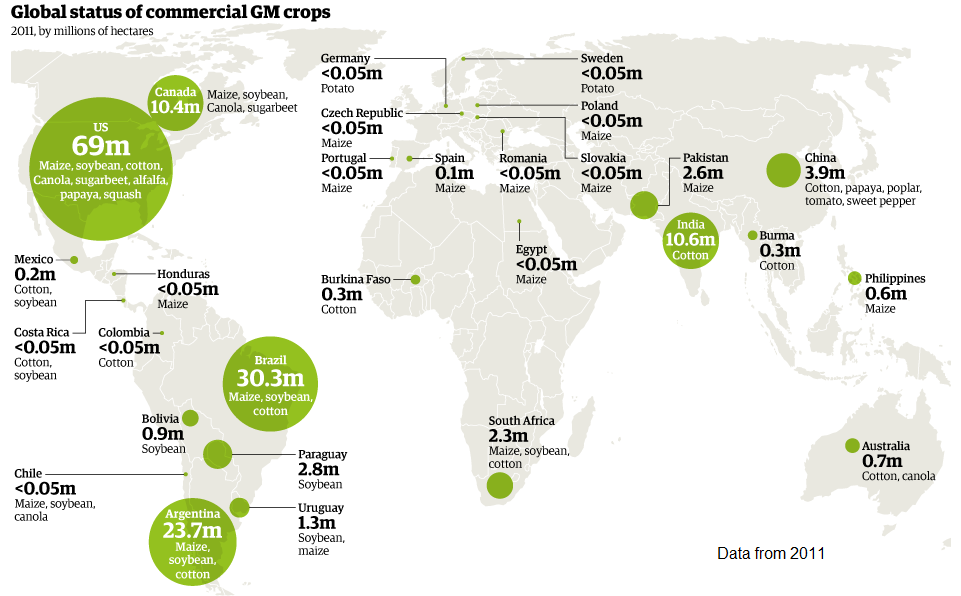 GVO-Lebensmittelanbau, Weltkarte
              von 2011