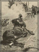 Un
                        caballo fue torturado y al fin dijo que sea un
                        asno