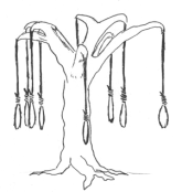 ... como pat�bulo.