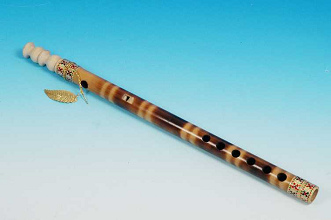 Un burro resoll� por
                        una flauta y detect� que tambi�n puede sonar
                        bien su voz ...