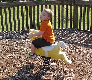 Nice spring rider 03
                              showing a horse in Hughes Park in
                              Arlington, Tennessee, "USA"
