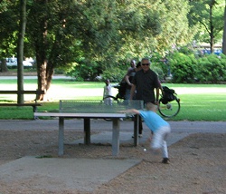 Playground under big trees,
                                Sch�tzenmattpark ("Rifleman Meadow
                                Park"), Basel